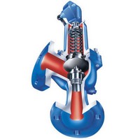 SAFE Safety Valves